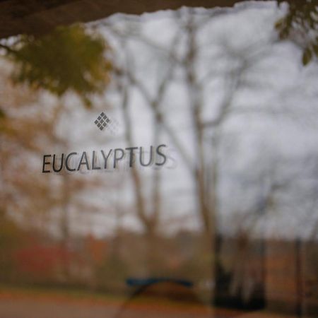 Chambres D'Hotes Eucalyptus Et Glycine Genval Eksteriør billede